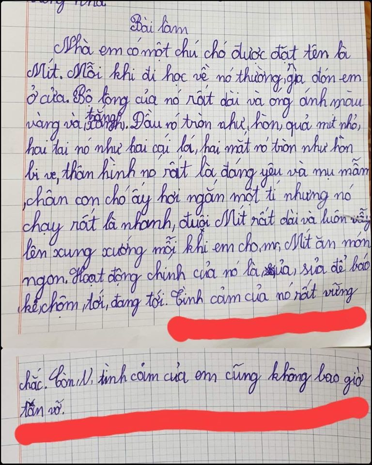 Học sinh tiểu học viết văn: T&igrave;nh cảm của em kh&ocirc;ng bao giờ tan vỡ - Xem đối tượng được nhắc đến m&agrave; cười xỉu- Ảnh 1.