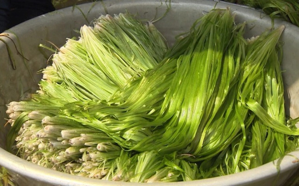 Đặc sản trời cho miền Tây, cả nước trầm trồ- Ảnh 2. Đặc sản trời cho miền Tây, cả nước trầm trồ- Ảnh 2.