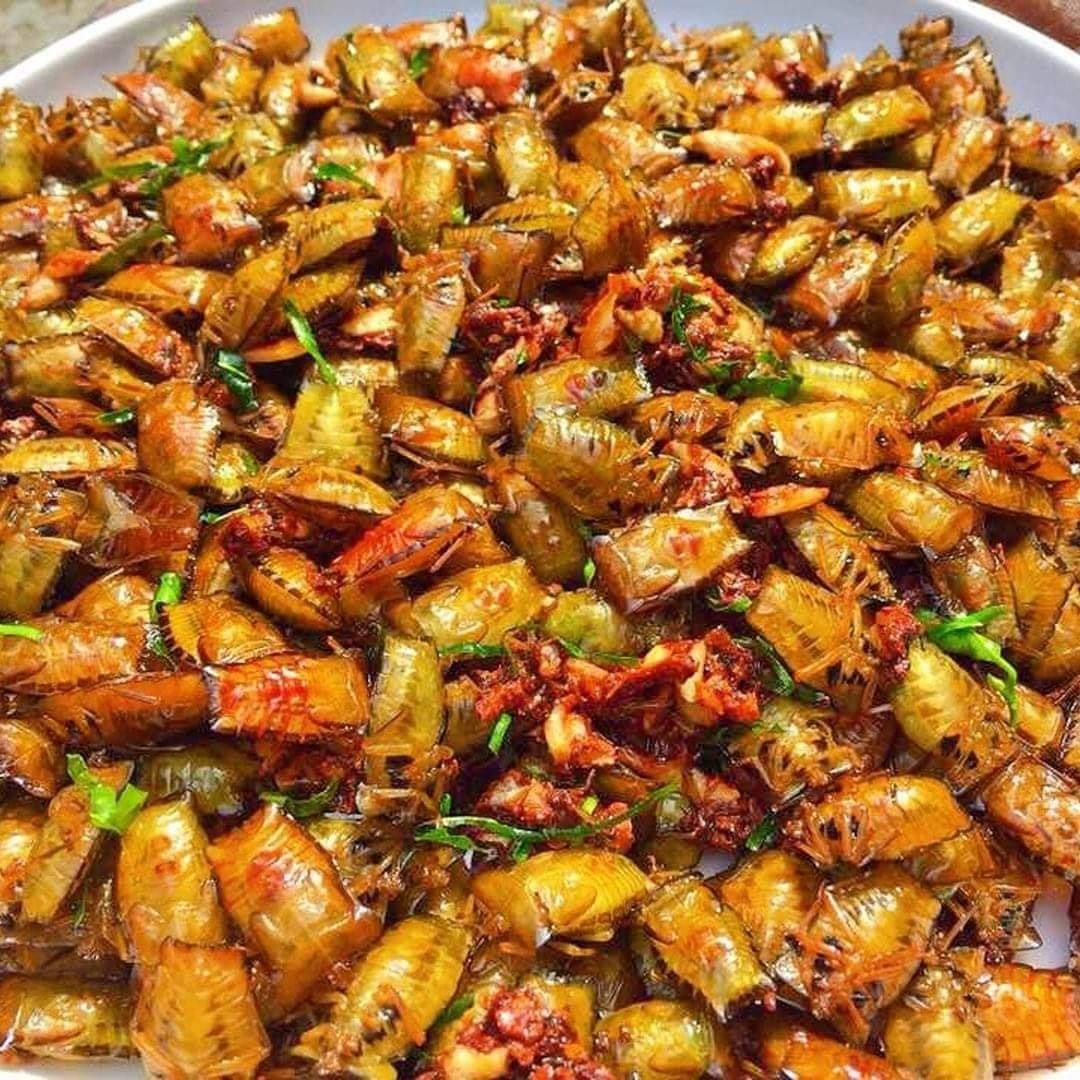 Những lo&agrave;i vật đ&aacute;ng sợ nhưng được xem l&agrave; tinh tu&yacute; ẩm thực ở Việt Nam, ai gan lắm mới d&aacute;m nếm thử- Ảnh 3.