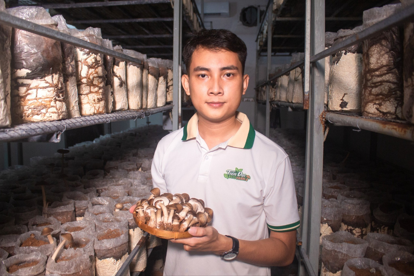 Bỏ phố về qu&ecirc;, ch&agrave;ng trai 3 bằng đại học khởi nghiệp trồng nấm- Ảnh 1.