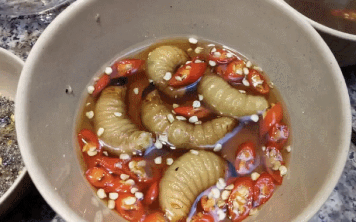 Những lo&agrave;i vật đ&aacute;ng sợ nhưng được xem l&agrave; tinh tu&yacute; ẩm thực ở Việt Nam, ai gan lắm mới d&aacute;m nếm thử- Ảnh 1.