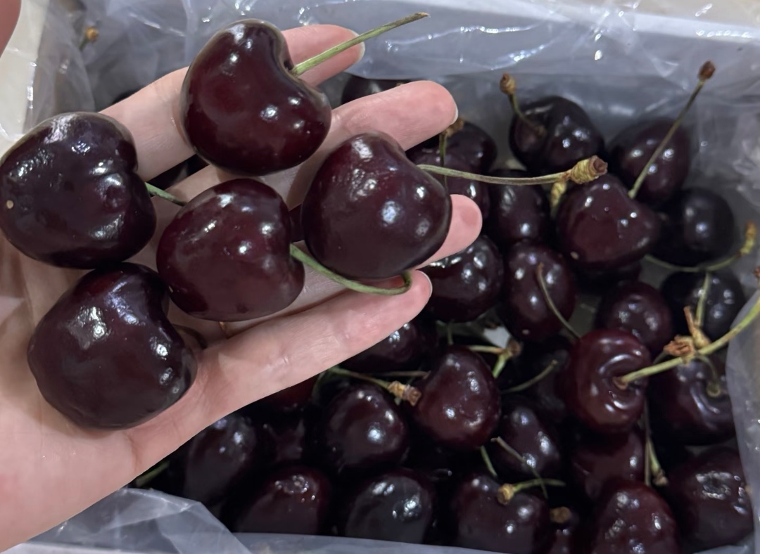 Chọn mua cherry đ&oacute;n Tết 2026: Phương ph&aacute;p 