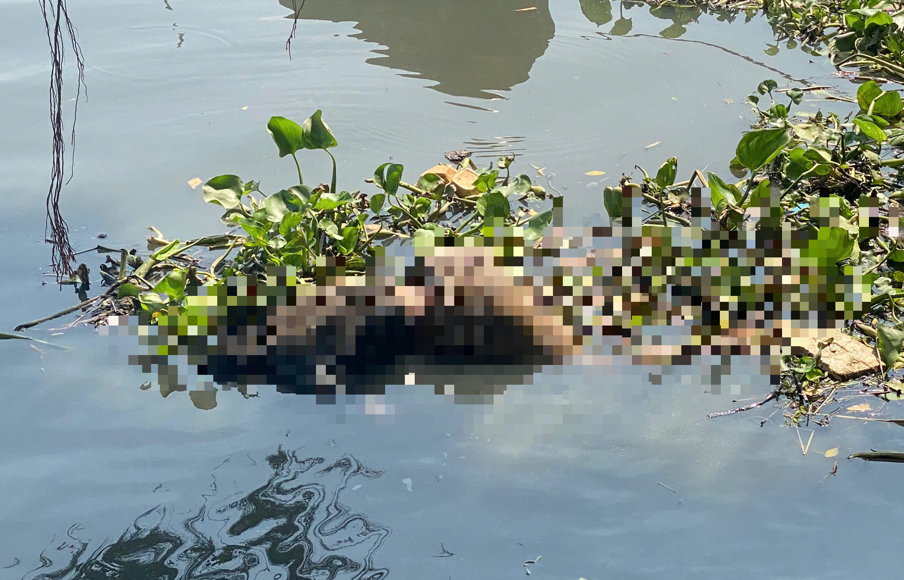 Thi thể cao 1,69 m, túi quần có số 233 trôi trên sông Sài Gòn- Ảnh 1. Thi thể cao 1,69 m, túi quần có số 233 trôi trên sông Sài Gòn- Ảnh 1.