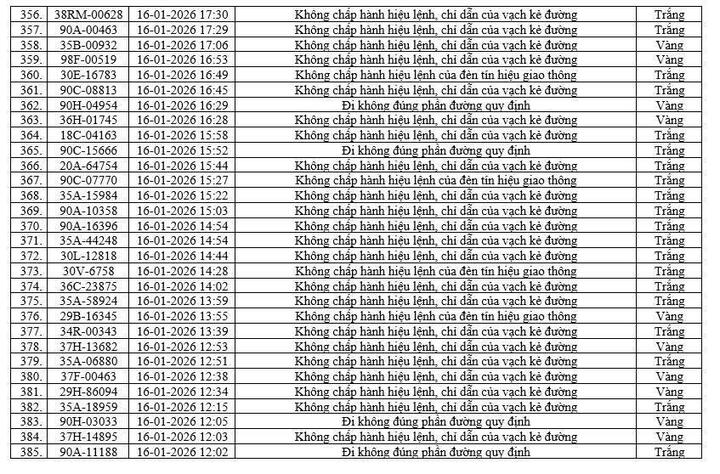 Camera AI ph&aacute;t hiện 416 phương tiện vi phạm tại Ninh B&igrave;nh chỉ trong một tuần- Ảnh 14.