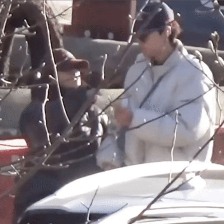 T&oacute;m gọn cảnh hẹn h&ograve; t&igrave;nh tứ của cặp diễn vi&ecirc;n trẻ, c&ograve;n đ&uacute;t cho nhau ăn giữa phố- Ảnh 2.