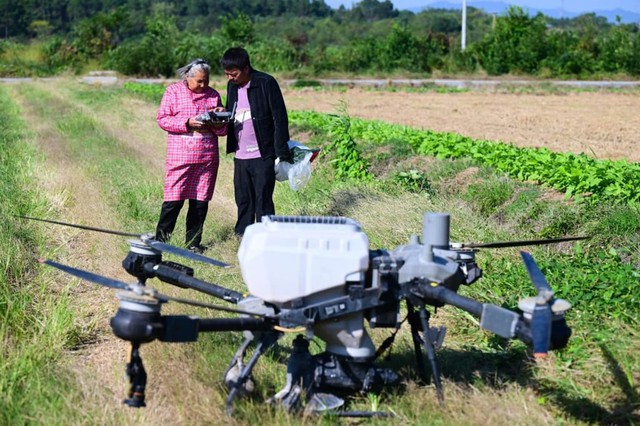 B&agrave; ngoại 82 tuổi g&acirc;y sốt mạng Trung Quốc với kỹ năng điều khiển drone n&ocirc;ng nghiệp v&agrave; b&aacute;n h&agrave;ng livestream- Ảnh 4.