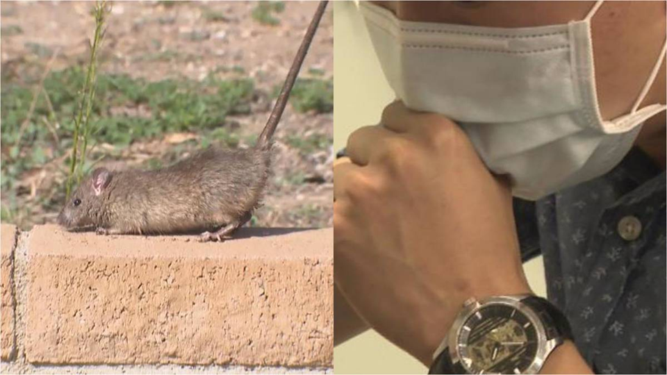 N&oacute;ng: Xuất hiện 1 ca tử vong do virus truyền nhiễm từ động vật sang người sau đ&uacute;ng 8 ng&agrave;y c&oacute; triệu chứng- Ảnh 1.