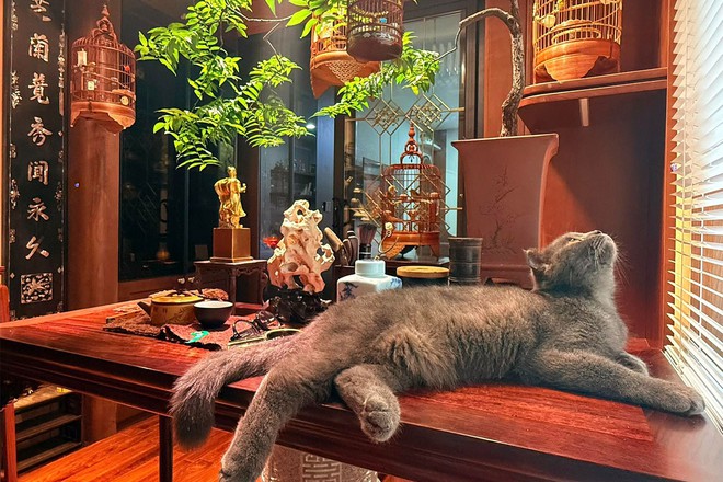 Nhan sắc vợ ch&acirc;n d&agrave;i sinh 5 con cho nam nghệ sĩ đ&igrave;nh đ&aacute;m sở hữu biệt phủ d&aacute;t v&agrave;ng ở H&agrave; Nội- Ảnh 8.