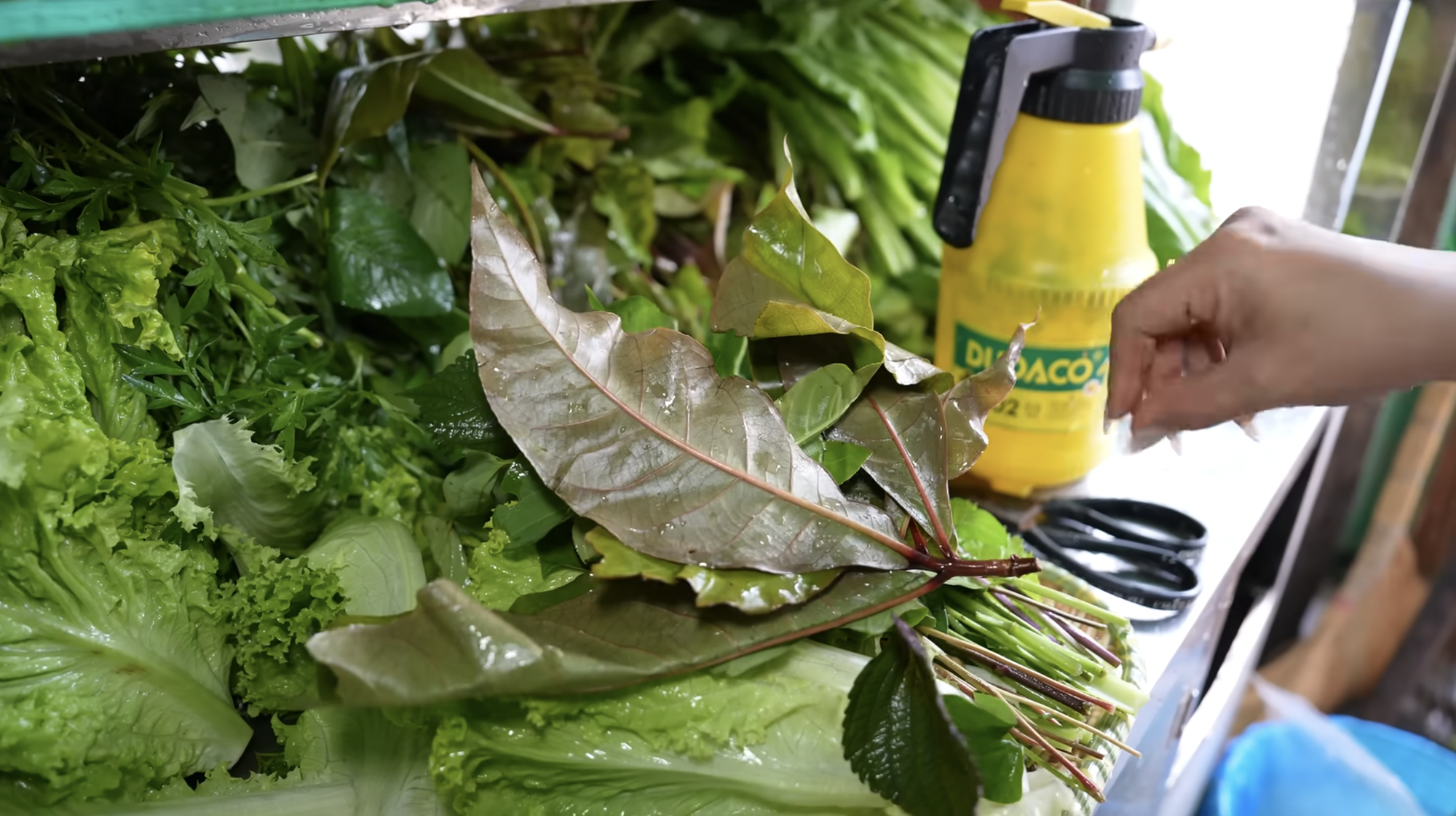 Chen ch&uacute;c mua 1.000 c&aacute;i b&aacute;nh cống bất chấp chảo dầu đen kịt, thực kh&aacute;ch vừa ăn ngon vừa nơm nớp lo cho sức khỏe- Ảnh 7.