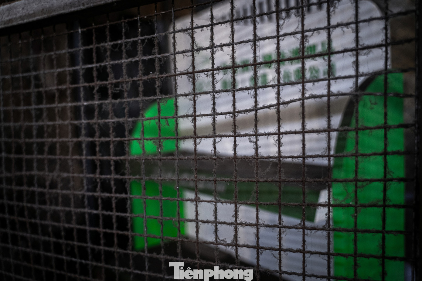 Sốt ruột chợ cửa khẩu M&oacute;ng C&aacute;i gi&aacute;p Tết vắng như... ch&ugrave;a b&agrave; đanh- Ảnh 3.