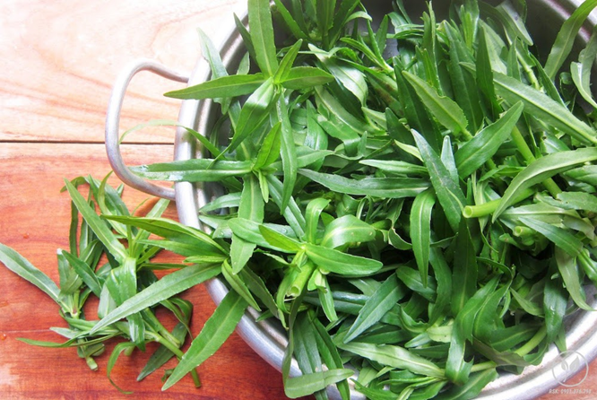 Chọn ngành, nghề trong bối cảnh thị trường lao động biến động: Nỗi băn khoăn của học sinh cuối cấp 3 2 loại rau “khoái khẩu” của người Việt mùa se lạnh dễ là “ổ sán”, nhất là cái số 1 ngoài chợ có đầy