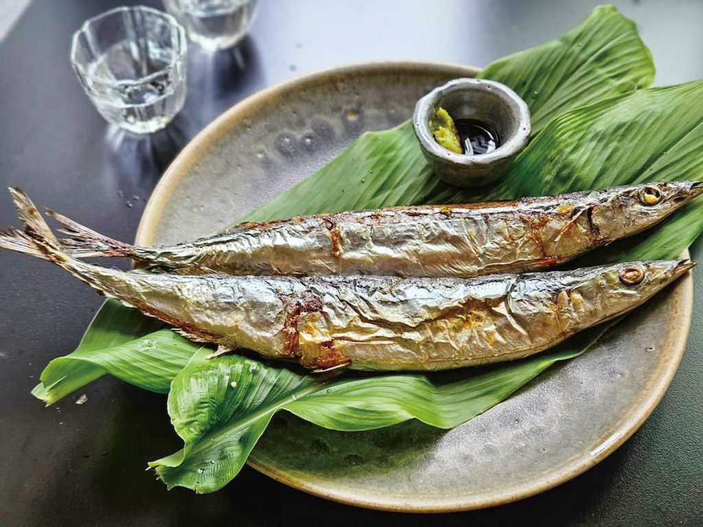 2 loại c&aacute; b&igrave;nh d&acirc;n gi&agrave;u omega-3 nhất thế giới, vượt xa c&aacute; hồi, ăn 2 lần/tuần gi&uacute;p 