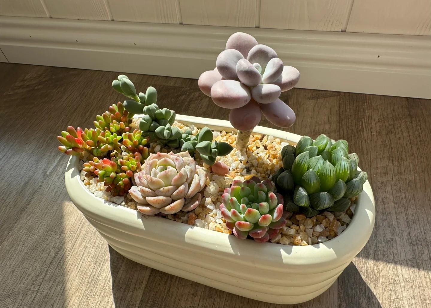 5 loại mọng nước đẹp thì đẹp thật… nhưng mang 5 loại mọng nước đẹp thì đẹp thật… nhưng mang