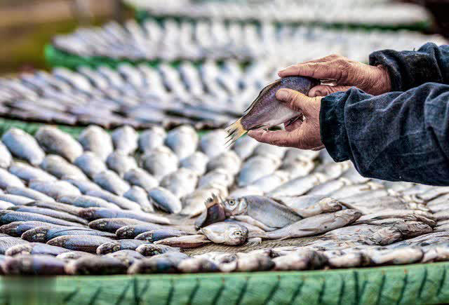 M&ugrave;a đ&ocirc;ng c&oacute; 4 loại c&aacute; 