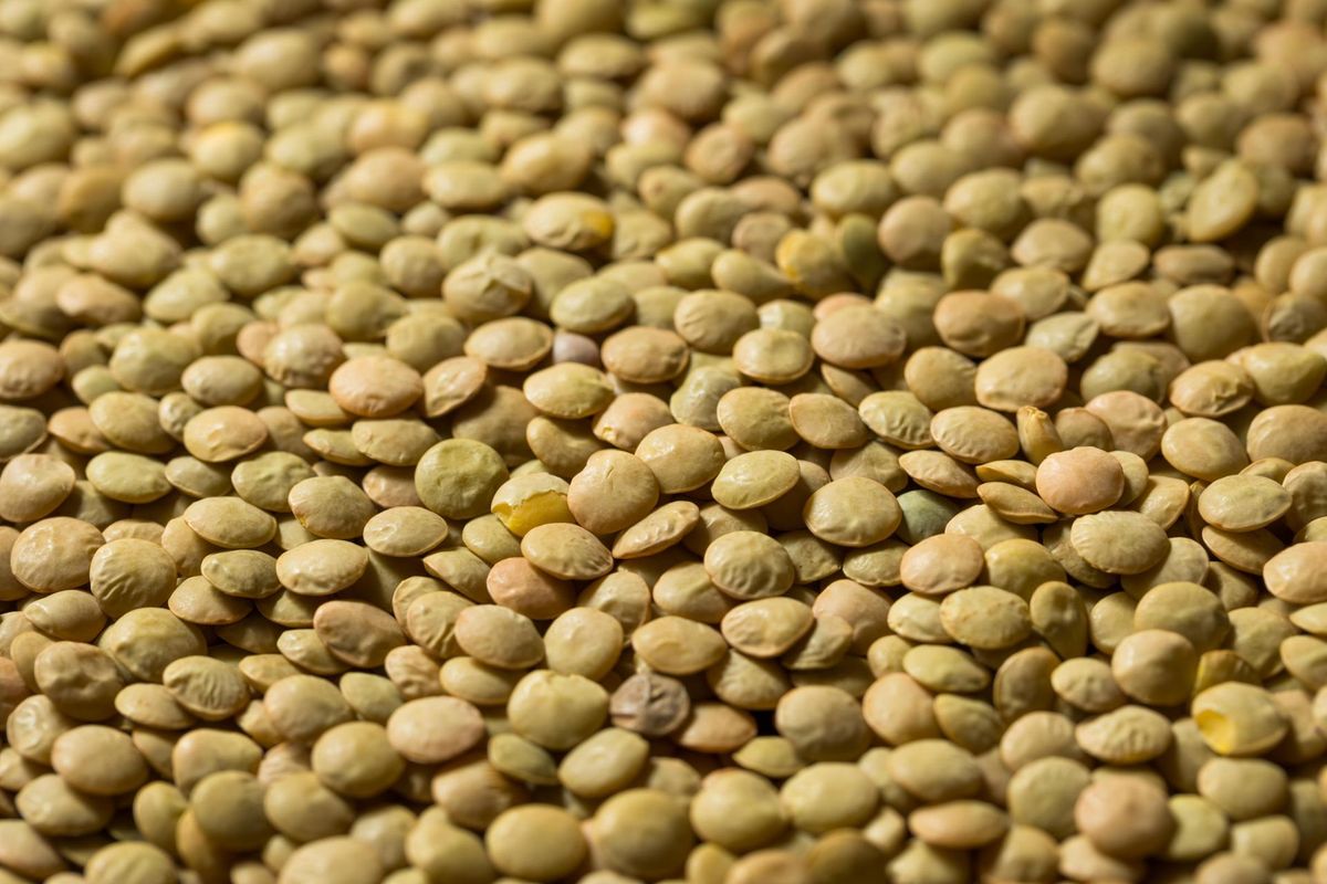 Bí quyết nấu ăn chống lão hóa ngay tại nhà- Ảnh 1. Bí quyết nấu ăn chống lão hóa ngay tại nhà- Ảnh 1.