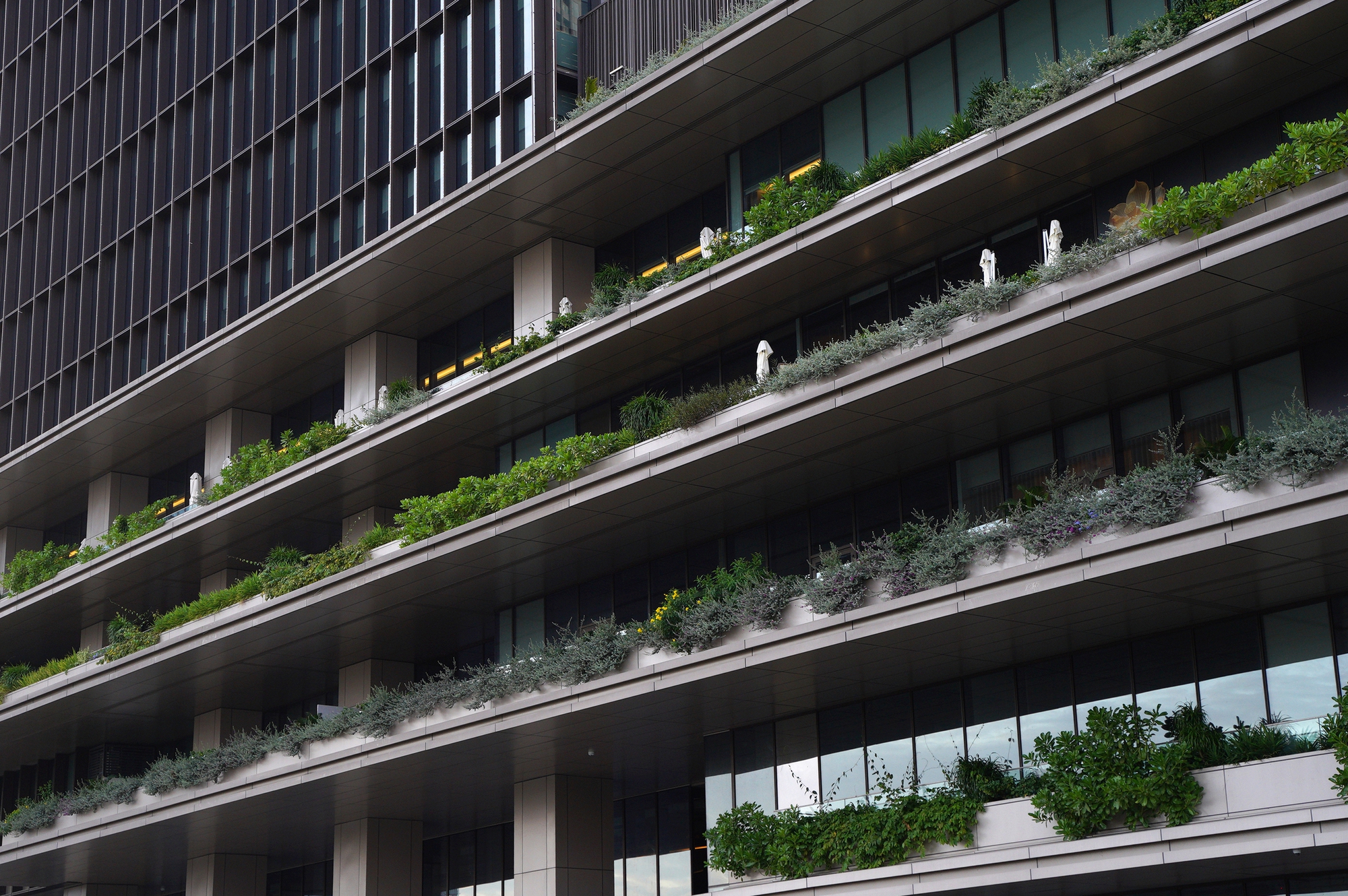 T&ograve;a nh&agrave; cao thứ 3 TP.HCM lập tức so&aacute;n ng&ocirc;i đ&ocirc;ng kh&aacute;ch nhất dịp lễ nhờ tung vườn hoa Tết khổng lồ- Ảnh 3.