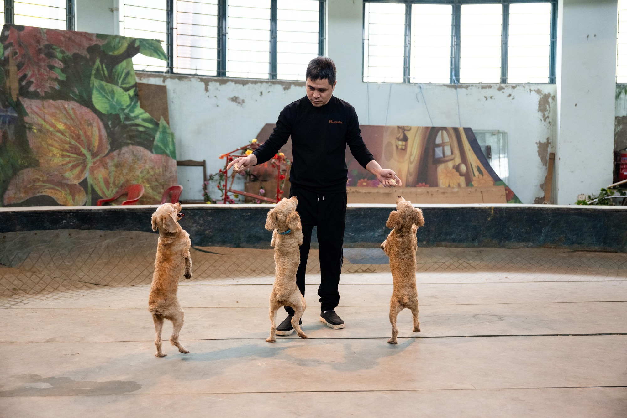 Đi thăm tr&acirc;u, khỉ, ngựa... giữa trung t&acirc;m Thủ đ&ocirc; v&agrave; nghe những chuyện thấy 