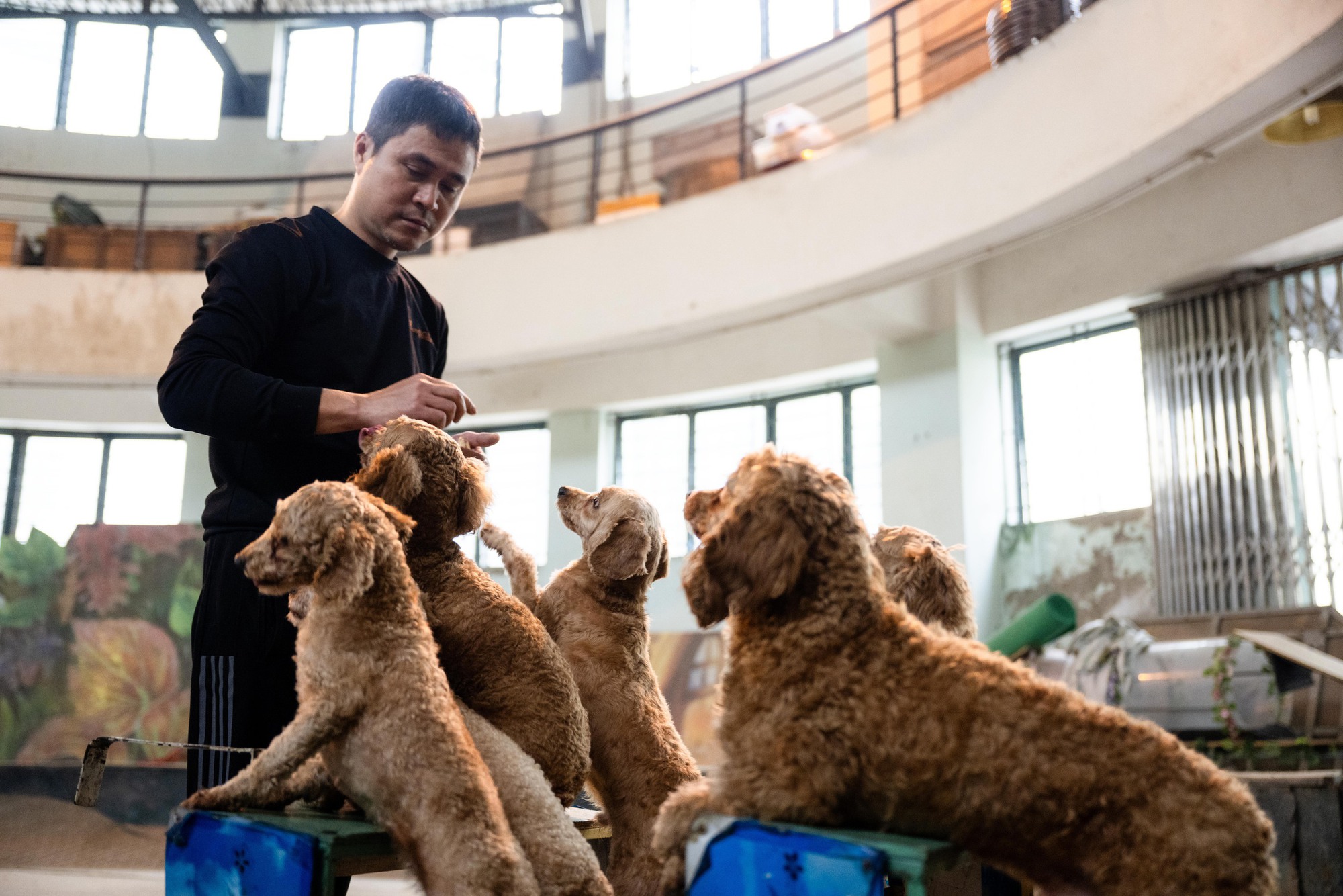 Đi thăm tr&acirc;u, khỉ, ngựa... giữa trung t&acirc;m Thủ đ&ocirc; v&agrave; nghe những chuyện thấy 