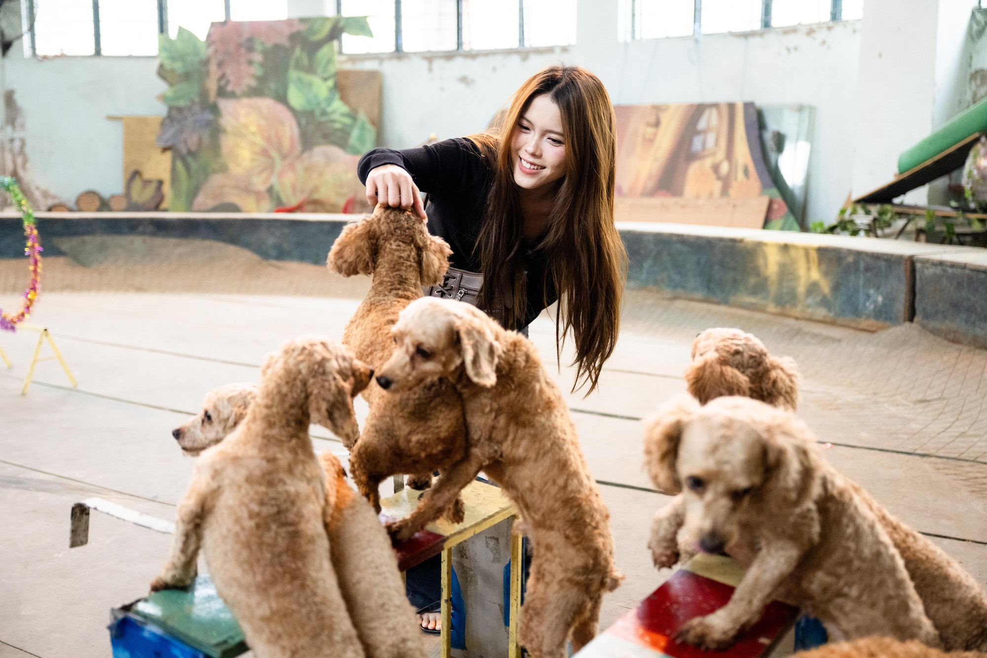 Đi thăm tr&acirc;u, khỉ, ngựa... giữa trung t&acirc;m Thủ đ&ocirc; v&agrave; nghe những chuyện thấy 