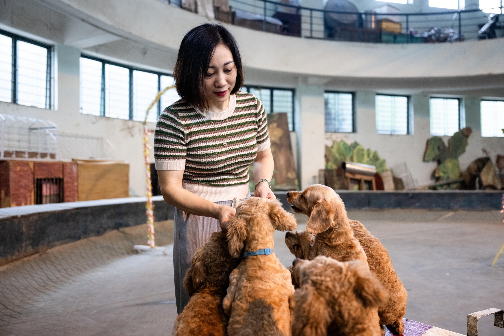 Đi thăm tr&acirc;u, khỉ, ngựa... giữa trung t&acirc;m Thủ đ&ocirc; v&agrave; nghe những chuyện thấy 