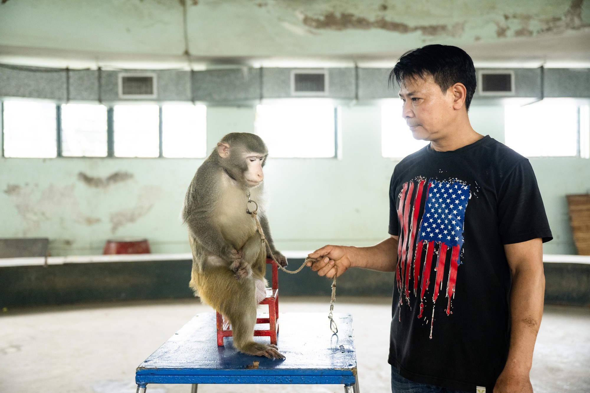 Đi thăm tr&acirc;u, khỉ, ngựa... giữa trung t&acirc;m Thủ đ&ocirc; v&agrave; nghe những chuyện thấy 