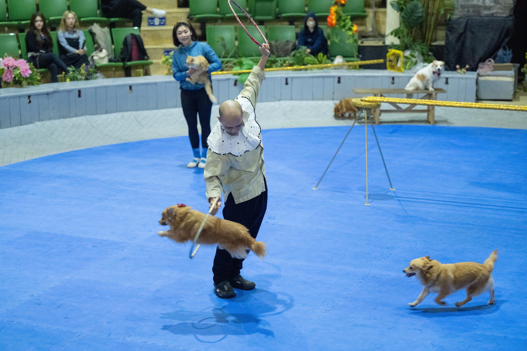 Đi thăm tr&acirc;u, khỉ, ngựa... giữa trung t&acirc;m Thủ đ&ocirc; v&agrave; nghe những chuyện thấy 
