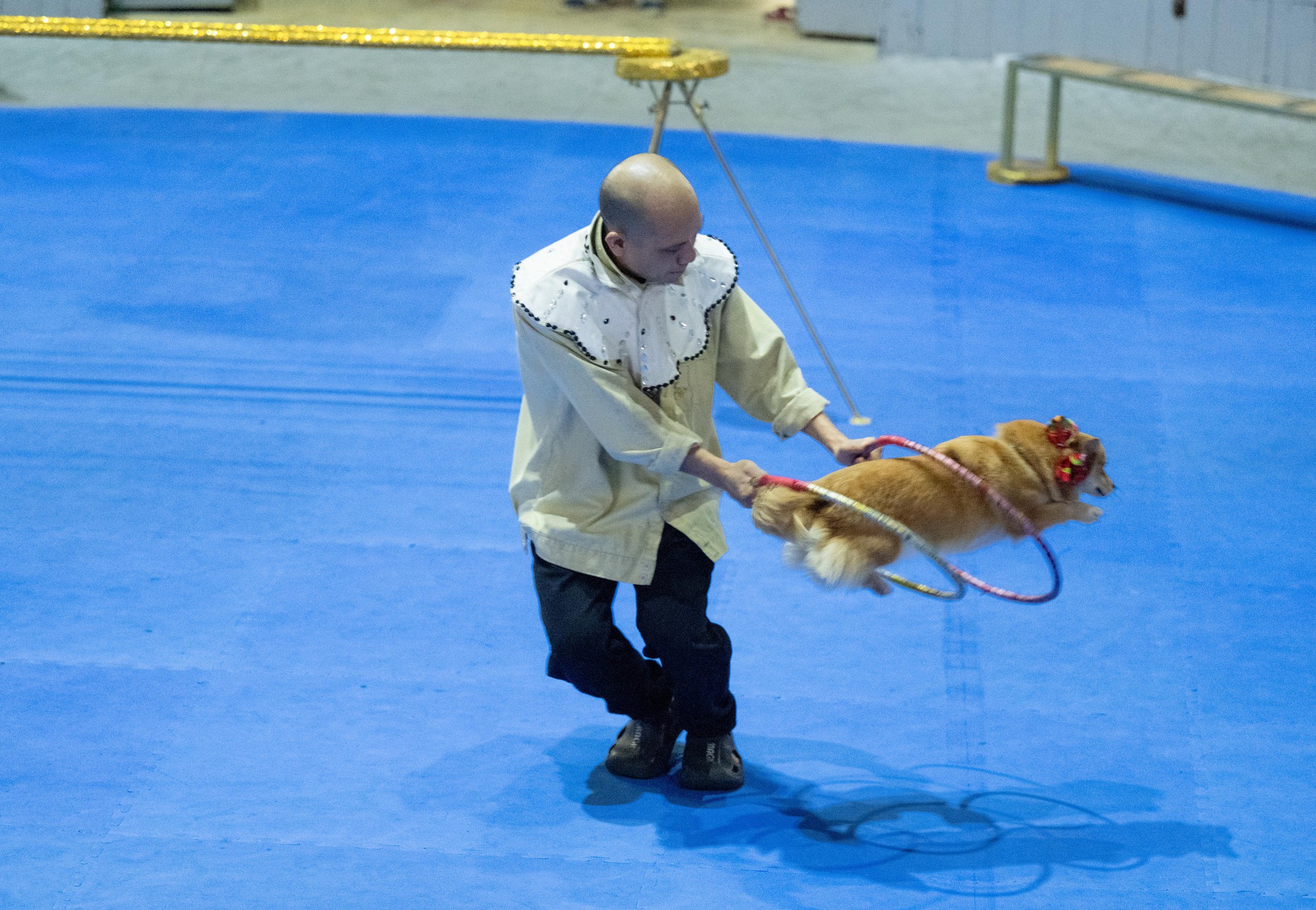 Đi thăm tr&acirc;u, khỉ, ngựa... giữa trung t&acirc;m Thủ đ&ocirc; v&agrave; nghe những chuyện thấy 