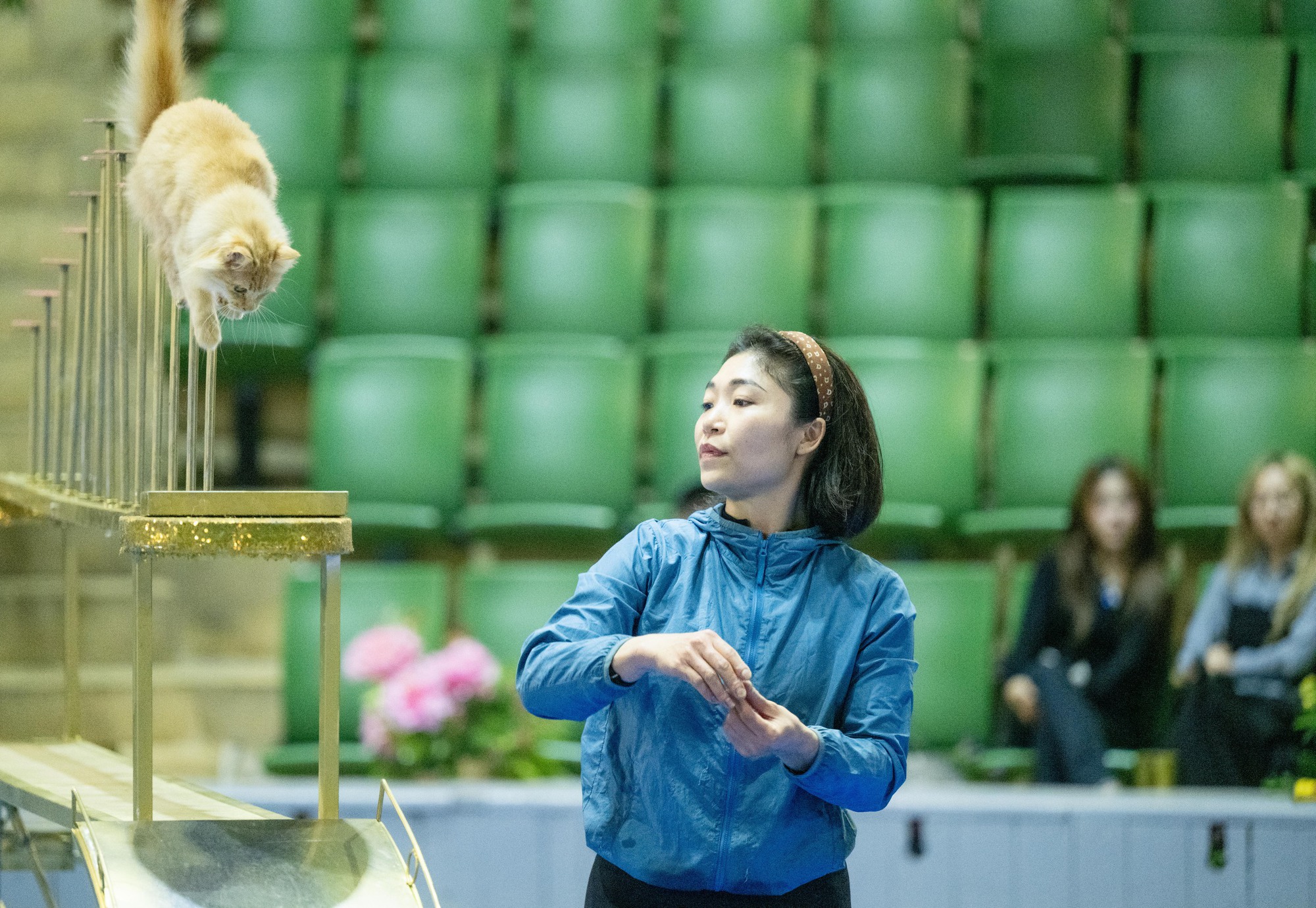 Đi thăm tr&acirc;u, khỉ, ngựa... giữa trung t&acirc;m Thủ đ&ocirc; v&agrave; nghe những chuyện thấy 