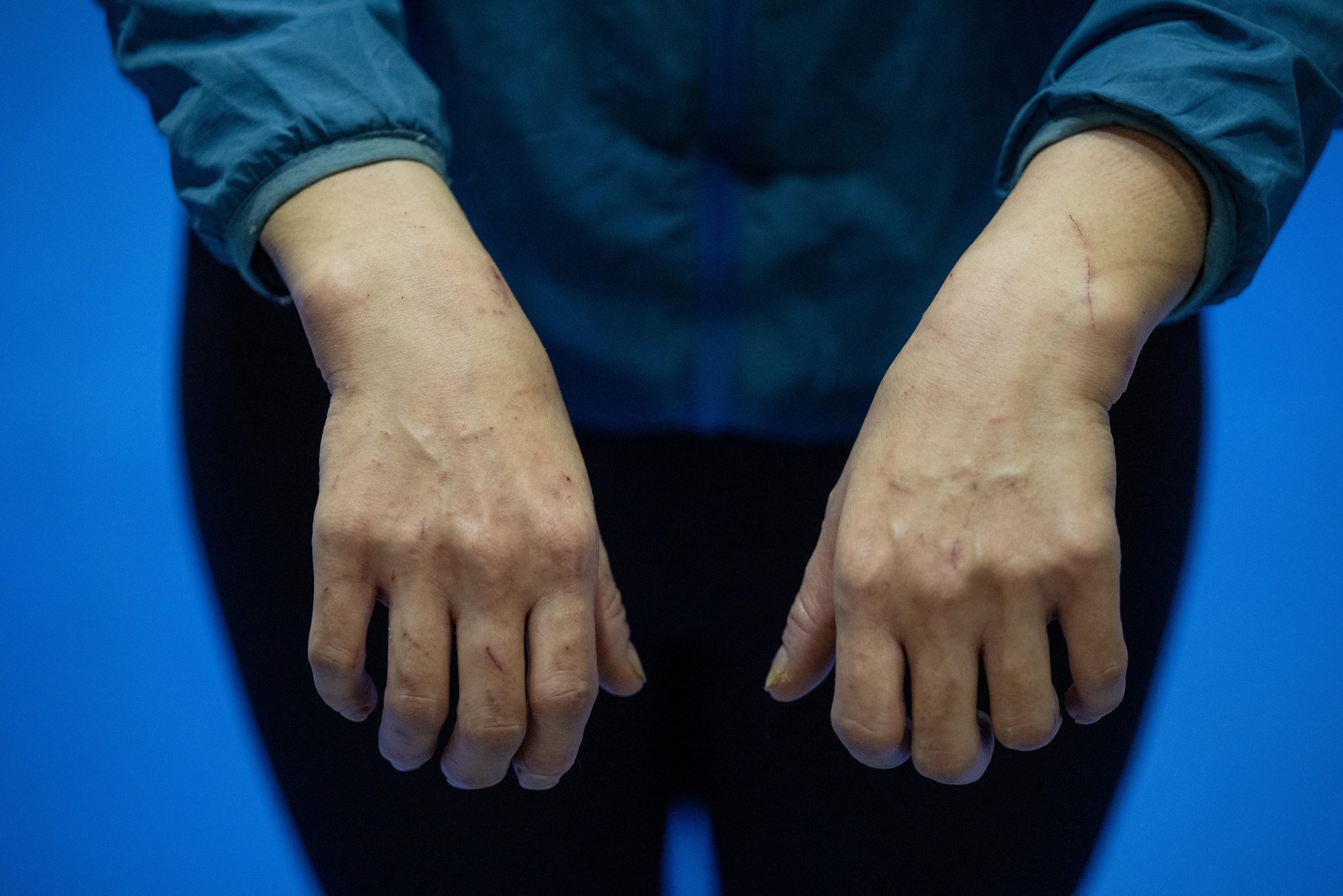 Đi thăm tr&acirc;u, khỉ, ngựa... giữa trung t&acirc;m Thủ đ&ocirc; v&agrave; nghe những chuyện thấy 