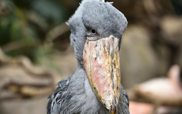 Tạo h&oacute;a chắc hẳn đ&atilde; 