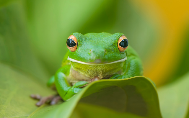 Tạo h&oacute;a chắc hẳn đ&atilde; 