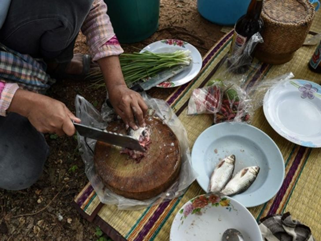2 loại c&aacute; ăn nhiều g&acirc;y ung thư tr&ecirc;n to&agrave;n cầu nhưng nhiều người Việt vẫn ăn h&agrave;ng ng&agrave;y- Ảnh 1.
