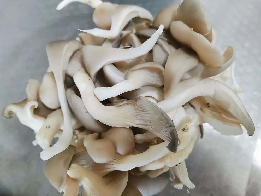 Mẹ t&ocirc;i thường nấu m&oacute;n n&agrave;y cho cả nh&agrave; ăn khi trời lạnh: M&ugrave;i thơm ng&agrave;o ngạt, ngửi th&ocirc;i đ&atilde; muốn ăn sạch nồi- Ảnh 5.