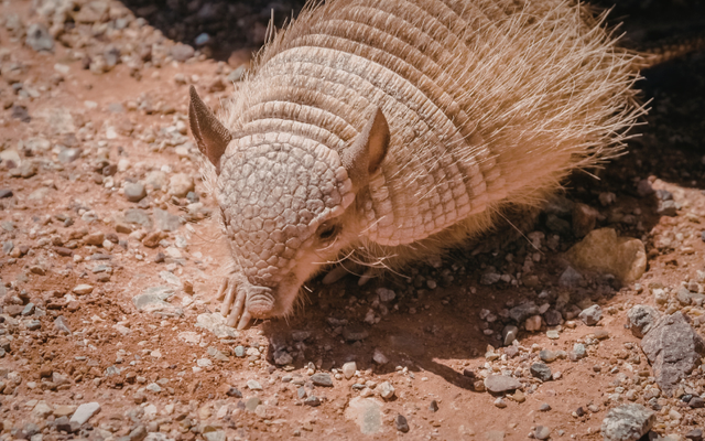Tạo h&oacute;a chắc hẳn đ&atilde; 