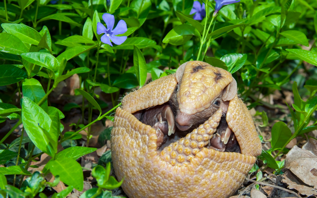 Tạo h&oacute;a chắc hẳn đ&atilde; 