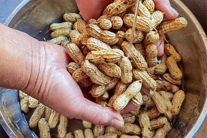 Luộc lạc chỉ cho muối chưa đủ, l&agrave;m c&aacute;ch n&agrave;y lạc sẽ ngọt mềm, kh&ocirc;ng th&acirc;m đen- Ảnh 2.