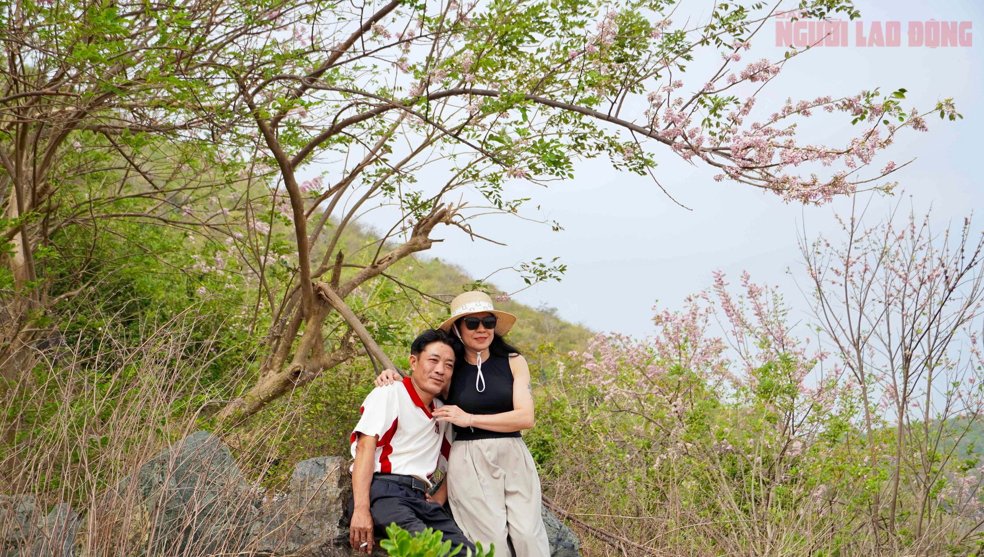 Hoa đỗ mai nở rộ hút hồn du khách đến với Vũng Tàu- Ảnh 11. Hoa đỗ mai nở rộ hút hồn du khách đến với Vũng Tàu- Ảnh 11.