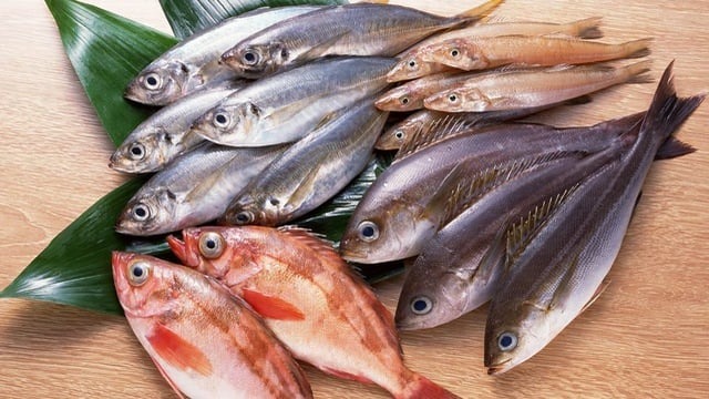 Top 4 loại c&aacute; 