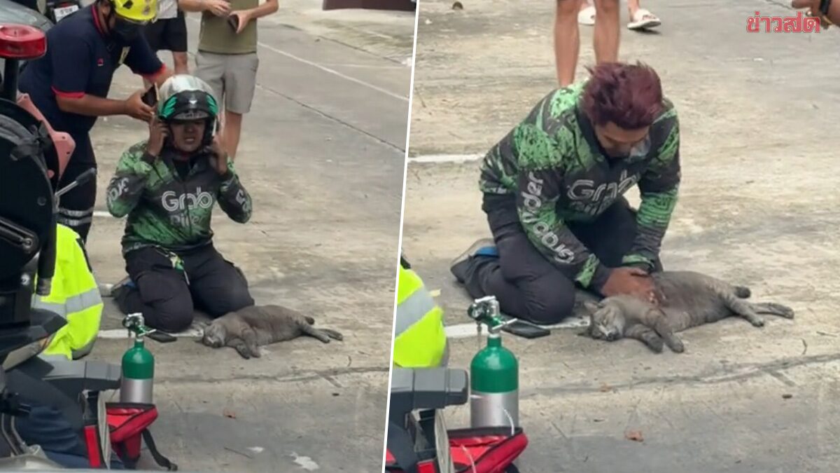 Nam shipper quỳ gập gối b&ecirc;n đường cố cứu m&egrave;o trong vụ ch&aacute;y chung cư: Clip lan truyền ch&oacute;ng mặt, danh t&iacute;nh được truy t&igrave;m- Ảnh 1.