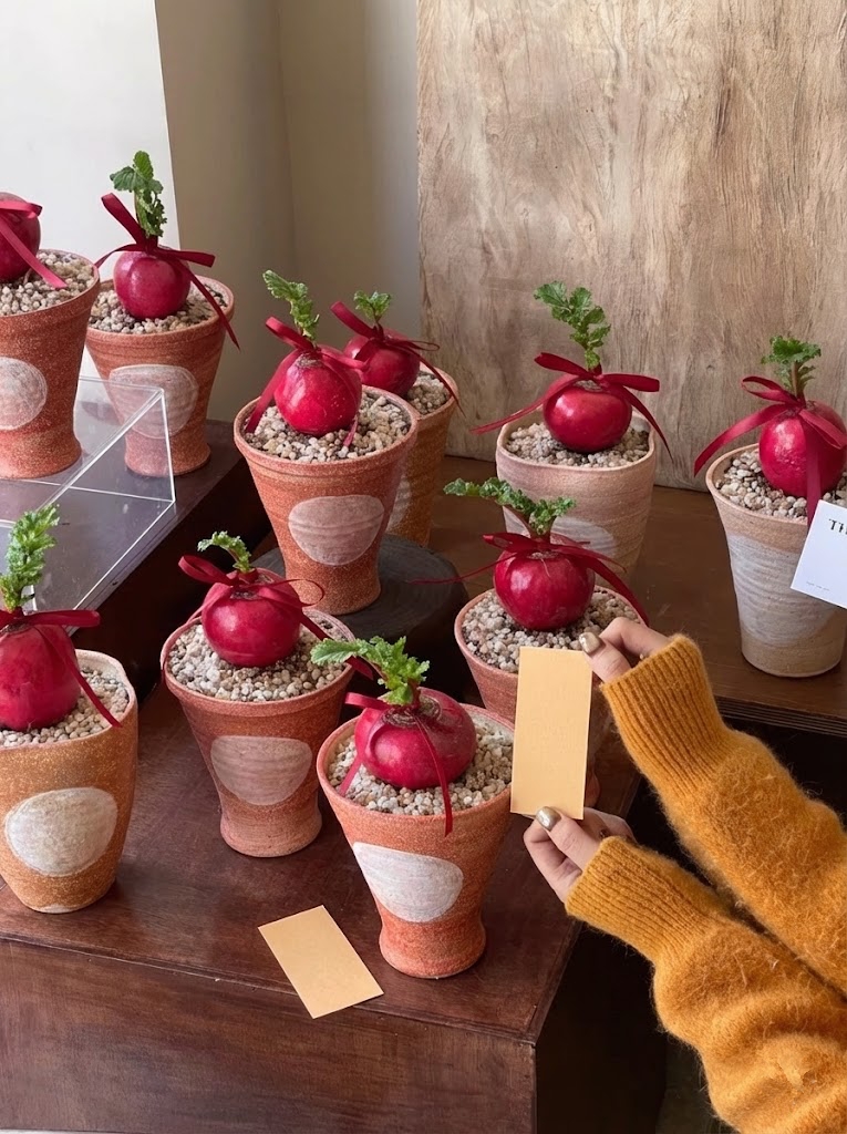 Trend lạ đ&oacute;n Tết: Ra chợ mua củ cải đỏ về cắm b&igrave;nh, ai ngờ th&agrave;nh chậu 