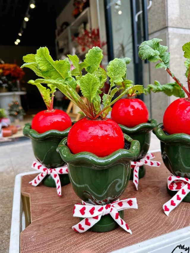 Trend lạ đ&oacute;n Tết: Ra chợ mua củ cải đỏ về cắm b&igrave;nh, ai ngờ th&agrave;nh chậu 