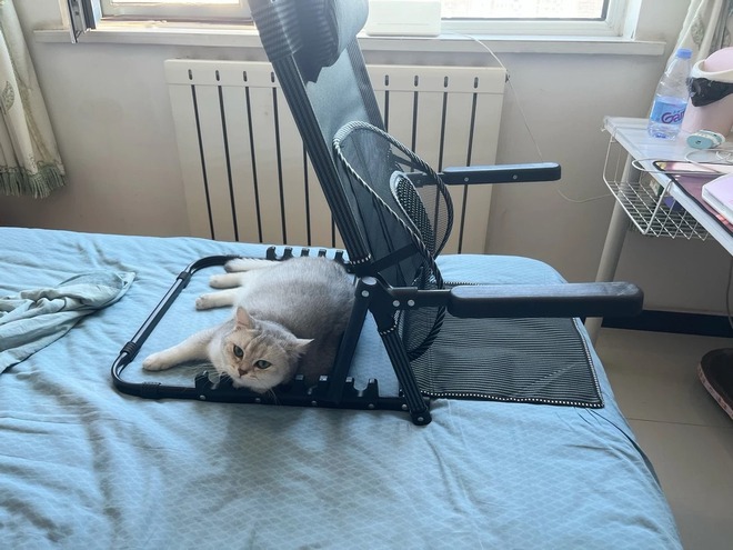 Nhìn lại 10 năm mua sắm, đây là 4 món tôi không hề hối hận- Ảnh 4. Nhìn lại 10 năm mua sắm, đây là 4 món tôi không hề hối hận- Ảnh 4.