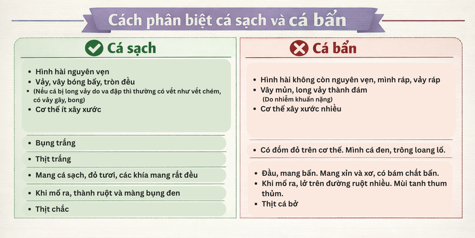 4 loại c&aacute; "nu&ocirc;i" tế b&agrave;o ung thư nếu ăn qu&aacute; nhiều nhưng kh&ocirc;ng phải ai cũng biết- Ảnh 5.