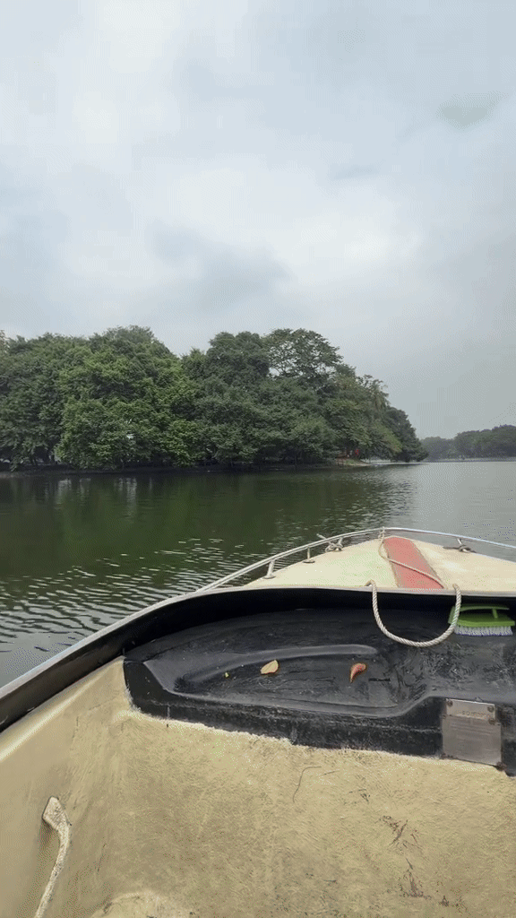 Hòn đảo nằm ngay trung tâm Hà Nội nhưng nhiều người không hề biết: Có tên gọi và câu chuyện đặc biệt- Ảnh 5. Hòn đảo nằm ngay trung tâm Hà Nội nhưng nhiều người không hề biết: Có tên gọi và câu chuyện đặc biệt- Ảnh 5.
