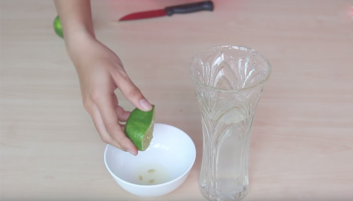 Cắm hoa tươi m&atilde;i kh&ocirc;ng t&agrave;n, h&oacute;a ra chỉ cần pha nước đ&uacute;ng c&aacute;ch: Mỗi loại hoa lại kh&aacute;c nhau- Ảnh 4.