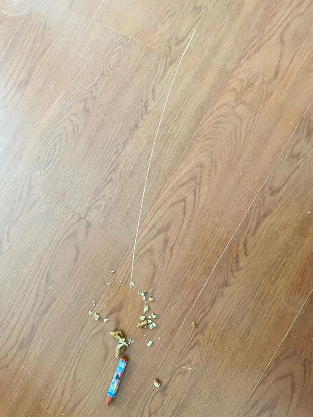 Giới trẻ đ&uacute;ng l&agrave; 