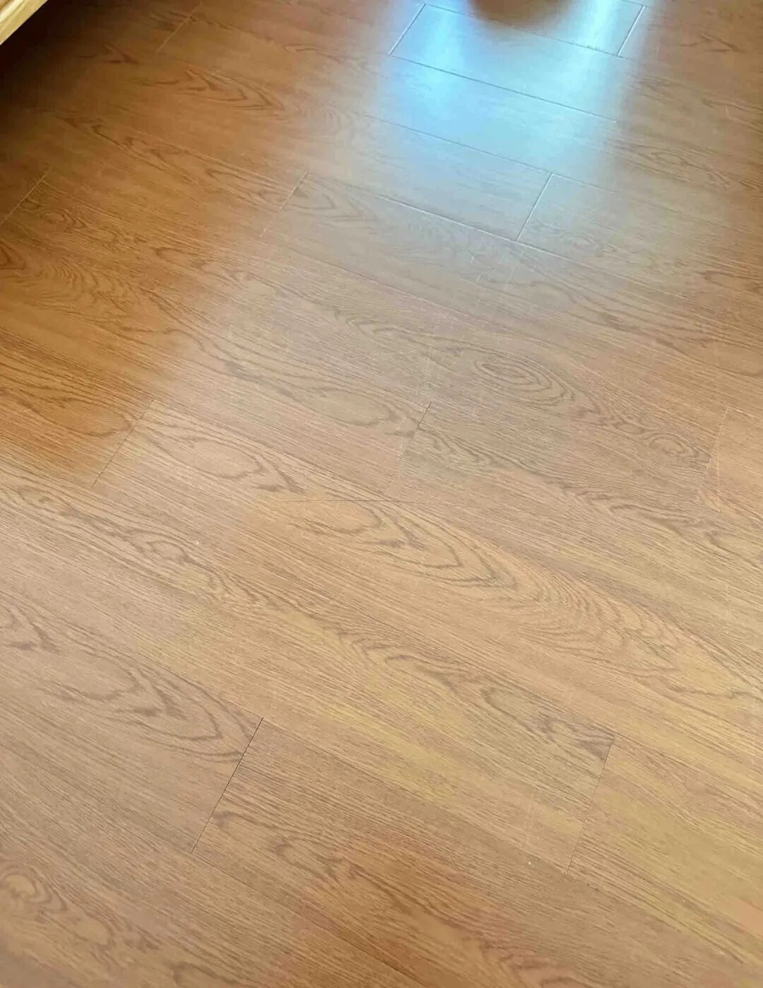 Giới trẻ đ&uacute;ng l&agrave; 