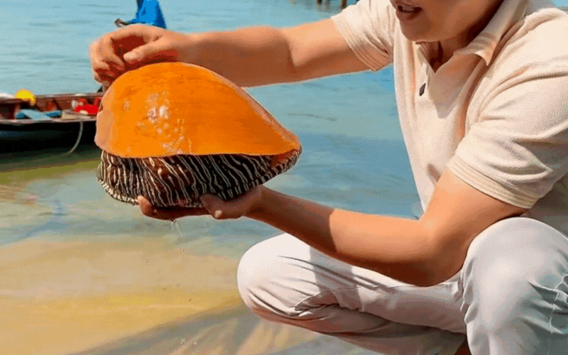 Truy t&igrave;m "kho b&aacute;u" dưới đ&aacute;y biển Việt: Lo&agrave;i ốc khổng lồ thịt ngon trứ danh, b&ecirc;n trong ẩn chứa vận may đổi đời tiền tỷ- Ảnh 6.