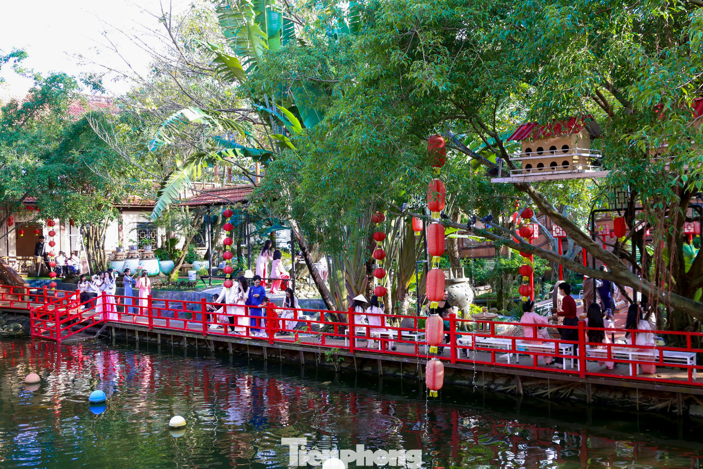 Bạn trẻ Đ&agrave; Nẵng x&uacute;ng x&iacute;nh &aacute;o d&agrave;i chụp ảnh Tết- Ảnh 14.