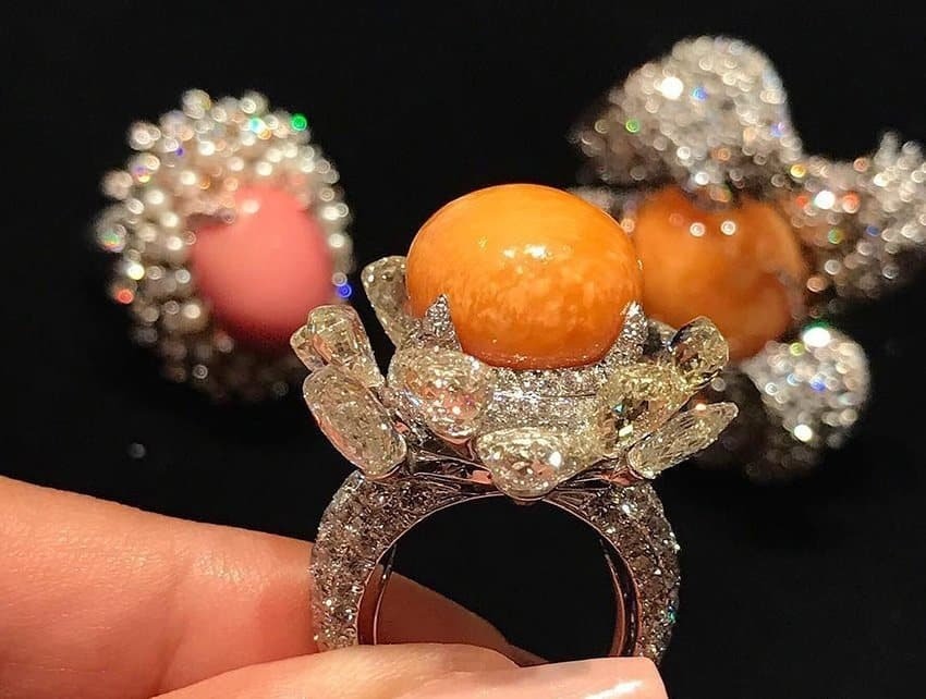 Truy t&igrave;m "kho b&aacute;u" dưới đ&aacute;y biển Việt: Lo&agrave;i ốc khổng lồ thịt ngon trứ danh, b&ecirc;n trong ẩn chứa vận may đổi đời tiền tỷ- Ảnh 7.